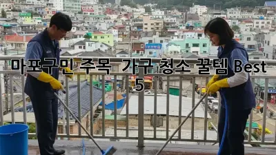 마포구민 주목! ✨ 가구 청소 꿀템 Best 5 🍯